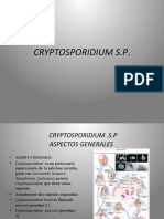 2.CRYPTOSPORIDIUM Ucb 2013S