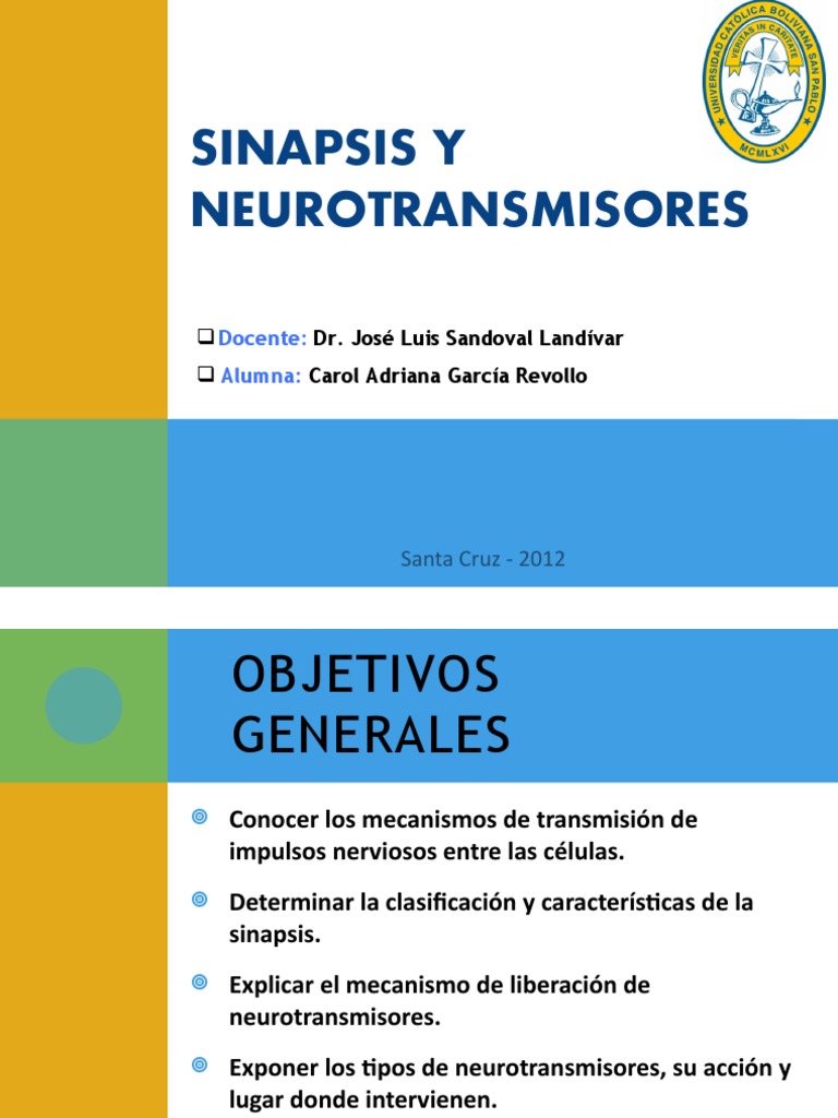 2012 Sinapsis y Neurotransmisores - Carol Garcia | PDF | Sinapsis ...