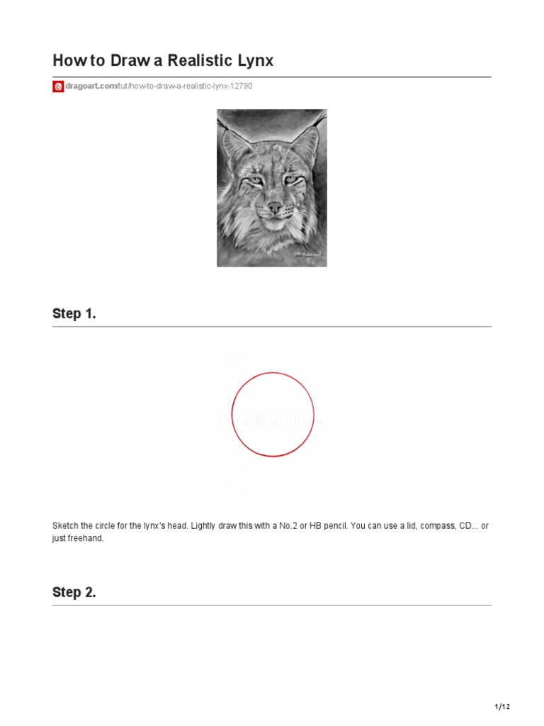 How to Draw a Realistic Lynx Step by Step PDF Pencil
