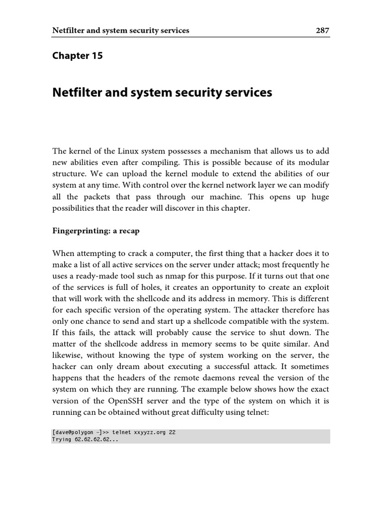 Netfilter and System Security Services PDF Transmission Control