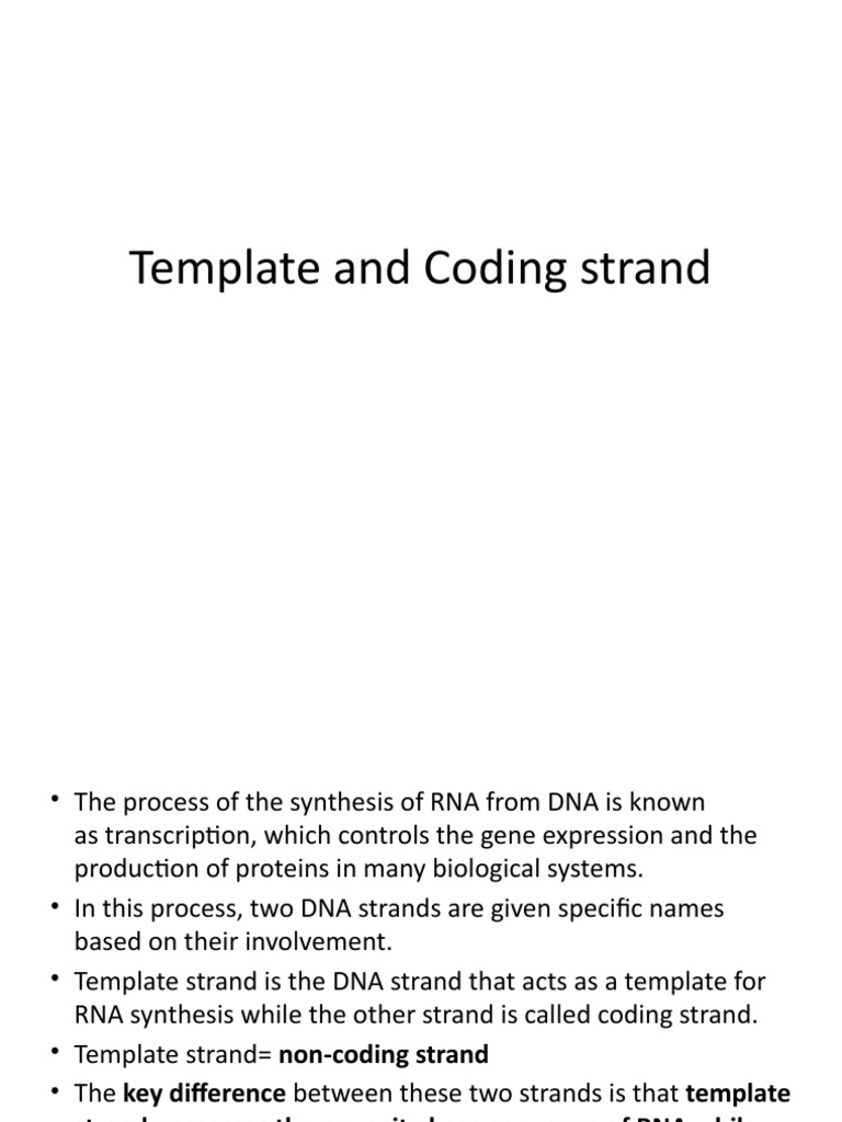 Template and Coding Strand | PDF