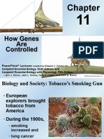 11 - How Genes Are Controlled - 2022 Upload