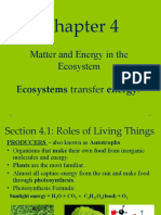 Chapter 4 Matter and Energy in The Ecosystem 1 Ecosystems Transfer Energy