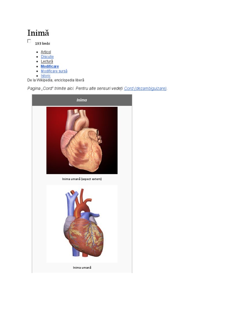 Inima | PDF