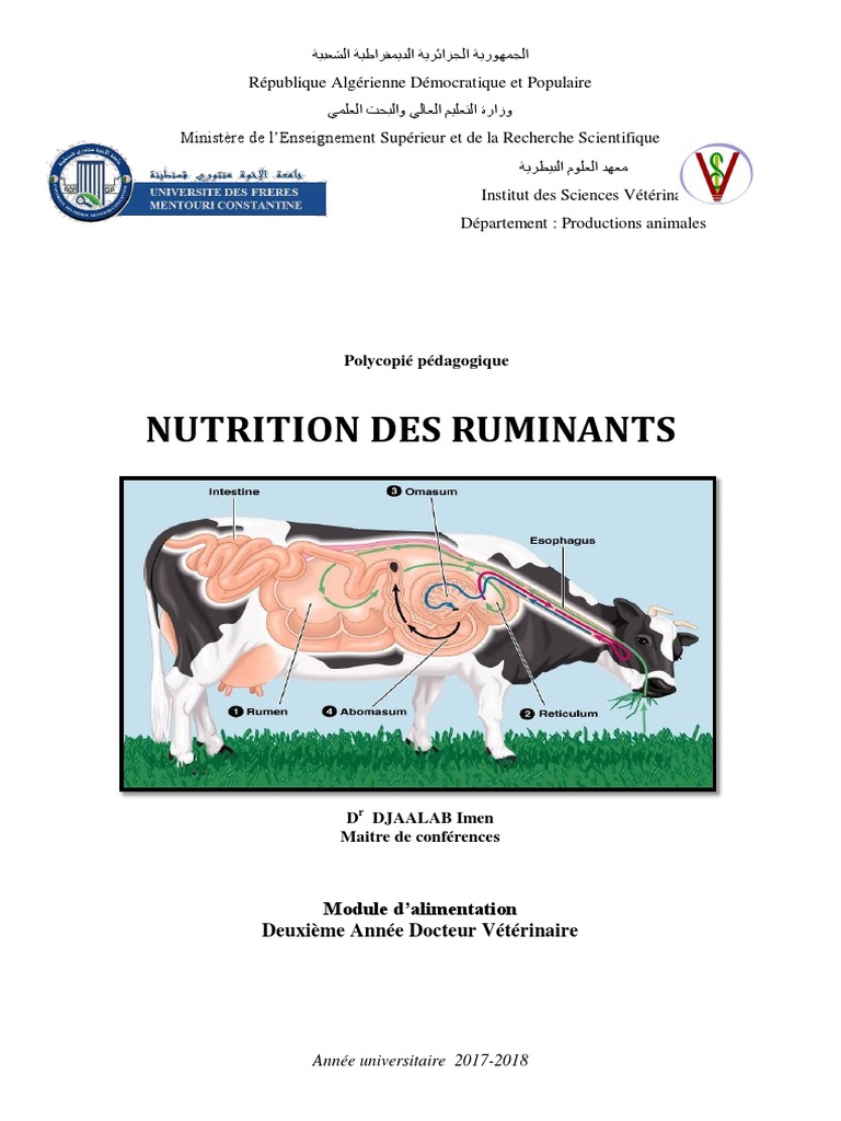 Nutrition des Ruminants en Vétérinaire | PDF | Rumination (zoologie ...
