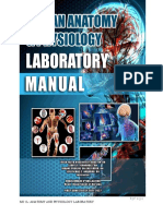 1 - MC 1L: Anatomy and Physiology Laboratory
