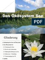 Das Ökösystem See