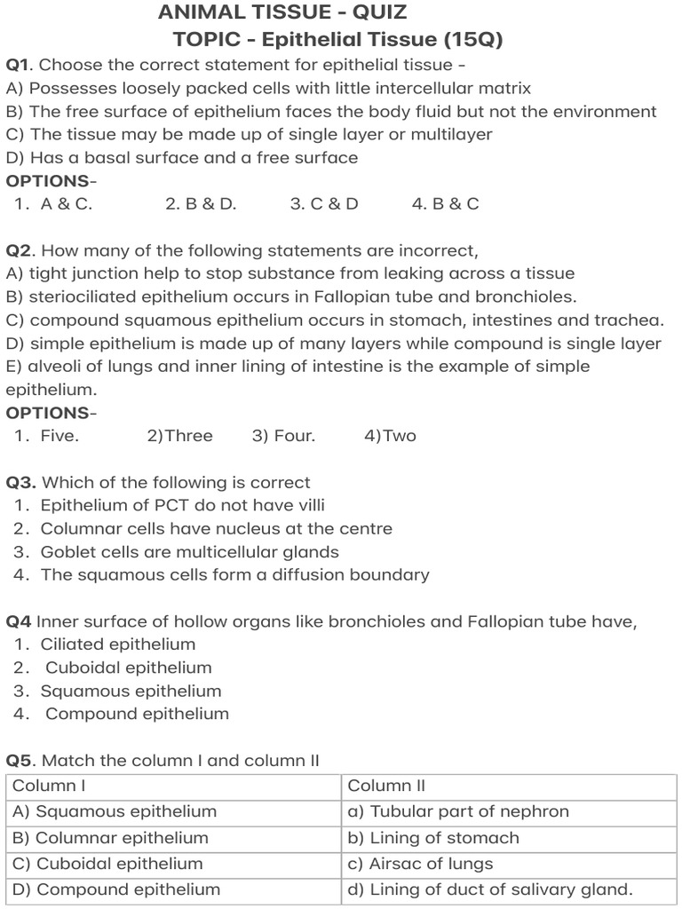 Animal Tissue Quiz PDF Epithelium Digestion