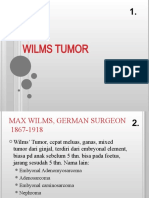 Wilms Tumor