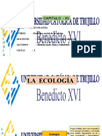 La ecología y el magisterio de la Iglesia sobre la protección del medio ambiente