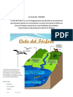 PDF Ciclo Del Fosforo - Compress