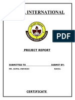 CS Project Report Template