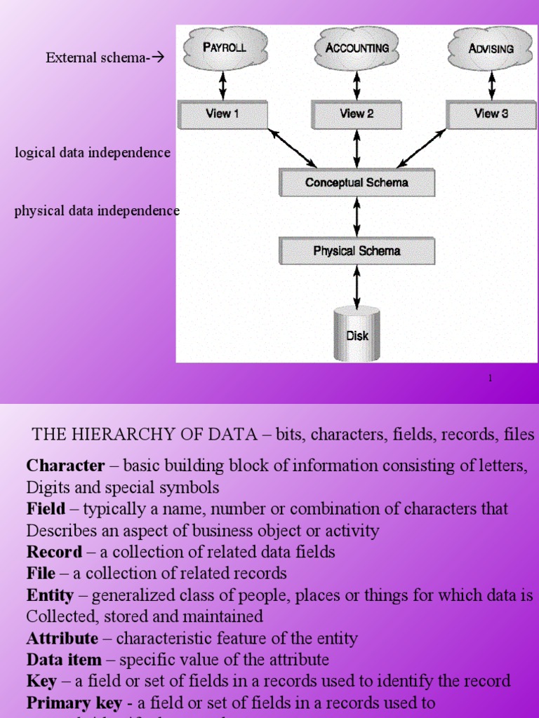 The Hierarchy of Data and Database Management: An Overview of Data ...