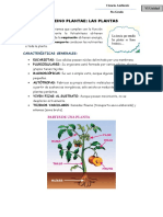 El Reino Plantae-Las Plantas - Ficha de Resumen