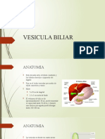 Patologia Biliar I