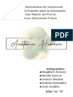 Anatomia Humana - Educacion Fisica