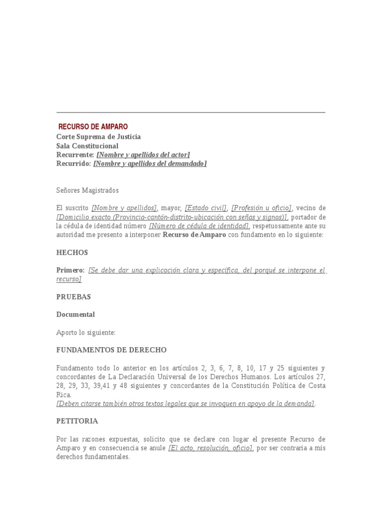 Ejemplo de Recurso de Amparo en Costa Rica | PDF | Política | Ciencias ...