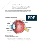 Modulo 1 (Anatomia Do Olho)