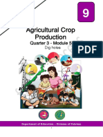 TLE 9 Agri Crop Prod Q3 - M5 For Printing