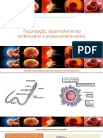 PPT3_fecundação, Desenvolvimento Embrionário e Anexos