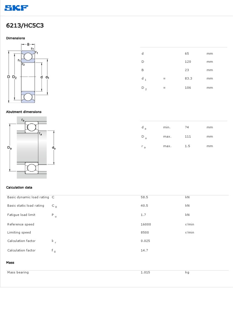 Hybrid Deep Groove Ball Bearings Single Row 6213 HC5C3 PDF