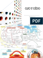 Ojo y Oido Modulo