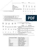 Karyotype Worksheet 1
