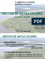 Gestao de Matas Ciliares MG e Bahia Programas de Restauraçao