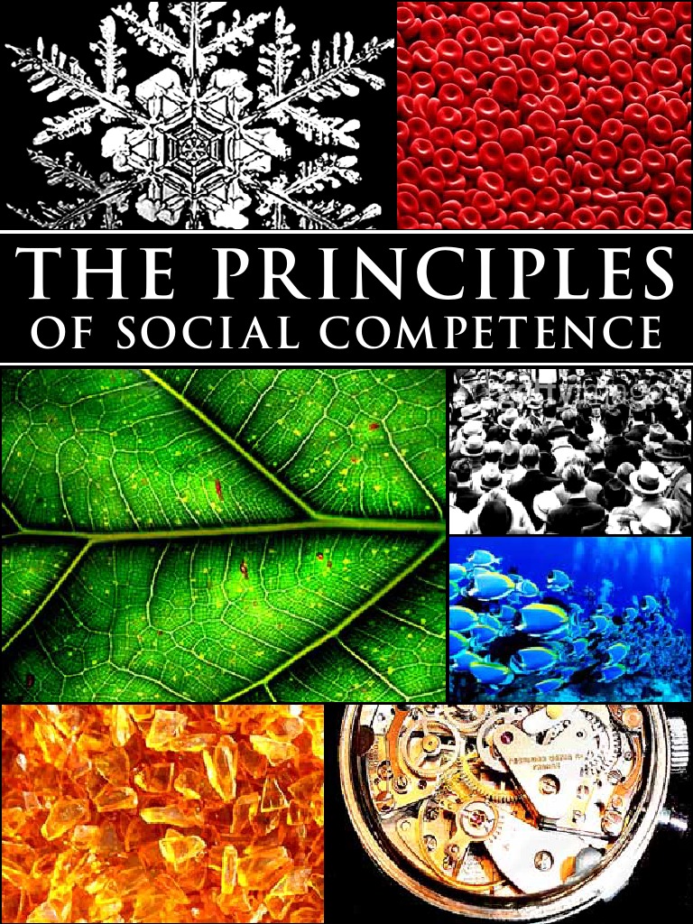 Principles101v1 0 9 | PDF | Feminism | Gender Studies