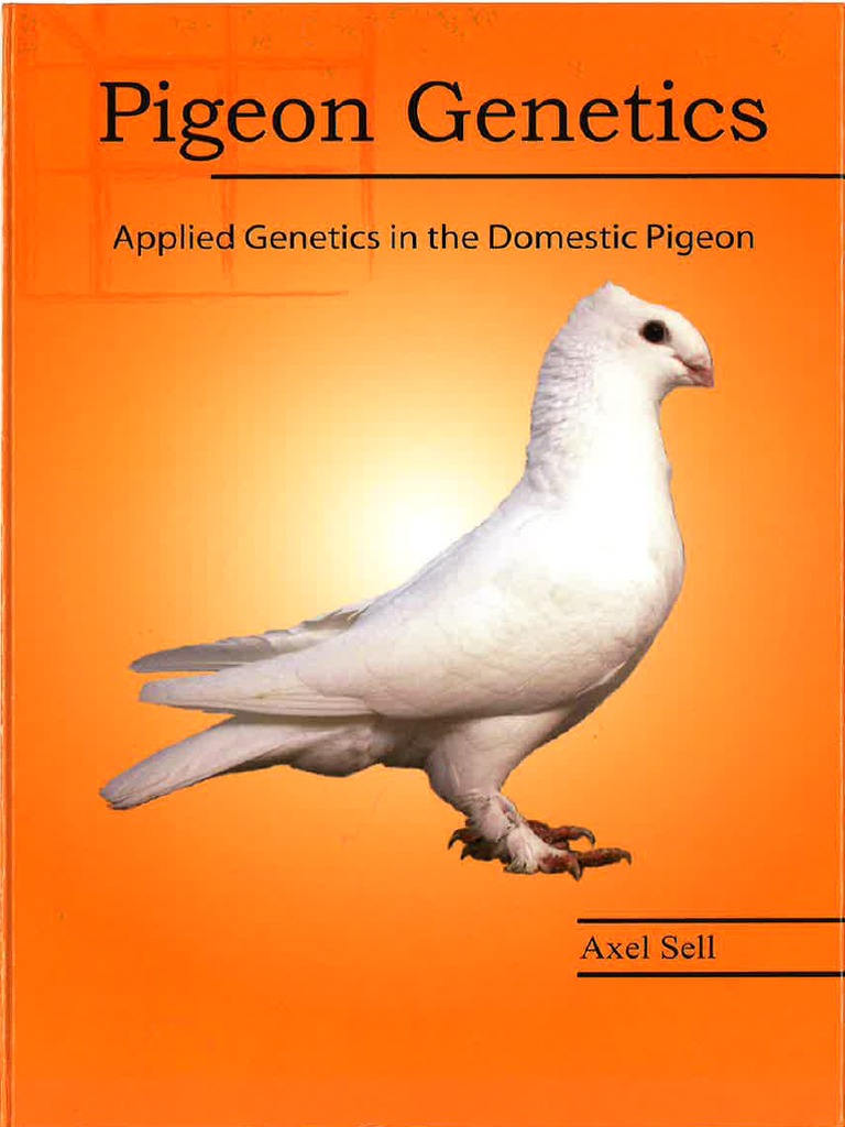 Pigeon Axel Sell PDF