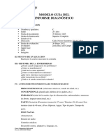 Informe Guía de Trabajo Del Informe Diagnóstico. (2)