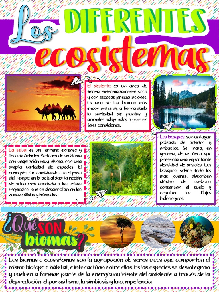 Infografía sobre ecosistemas y biomas | PDF | Ciencia y matemáticas