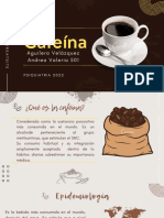 Cafeína: Aguilera Velázquez Andrea Valeria 501