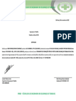 Certificado Trabalho em Altura Nr-35 FGR - Limpeza de Vidros Colaborador Fabio Henrique Brum de Andrade Frente 2022 2023