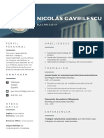 CV Nicolas