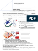 Fisa de Evaluare Sistem Nervos Clasa A VII-a