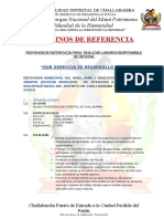 TDR. Desarrollo Social