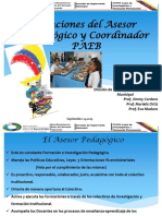 Funciones de Los Asesores Pedagogicos y Cordinadores Paeb