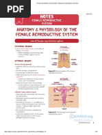 Immune System Notes - Diagrams & Illustrations - Osmosis | PDF