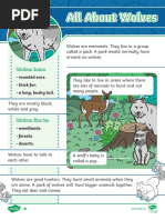 Wolves Differentiated Reading Comprehension Activity - English