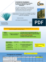 Tutoral 24 de Junio 2021