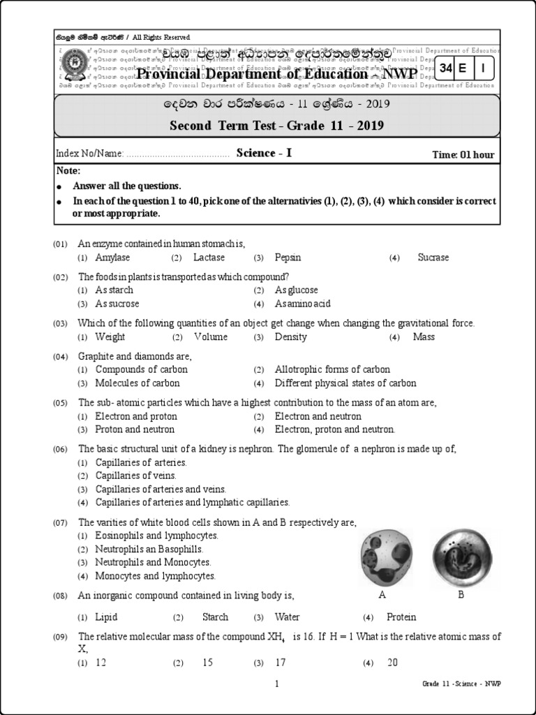 Grade 11 Science Test Paper - NWP | PDF | Atrium (Heart) | Heart Valve