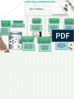 Mapa de Evaluacion de La Inteligencia