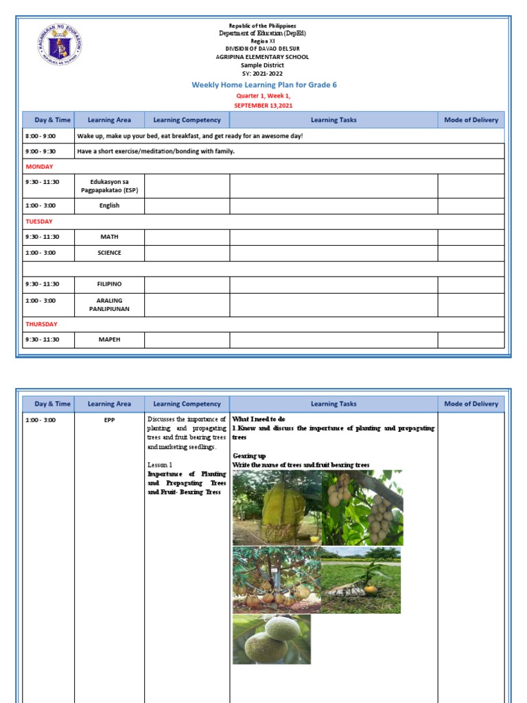 Grade 6 Weekly Learning Plan: Q1 W1 | PDF | Trees | Manure