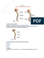 Taller N°9: Columna Vertebral Y Sus Deformaciones