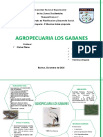 Agropecuaria Los Gabanes