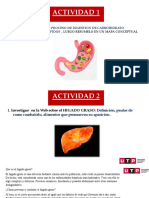 Actividad Sist. Digestivo - Final