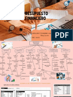 Presupuesto Financiero - Organizador