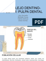 Complejo Dentino-Pulpar - Pulpa Dental