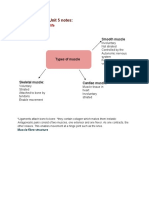 A Level Biology-Unit 5 Notes:: Topic 7: Run For Your Life